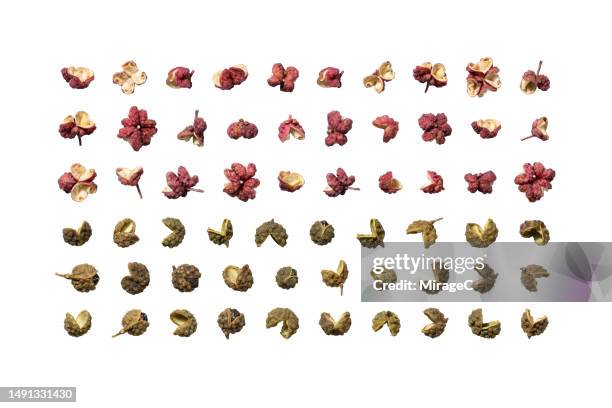 red and green szechuan peppercorns isolated on white - szechuan cuisine stock pictures, royalty-free photos & images