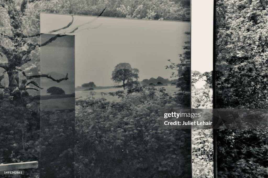 Considering another world.