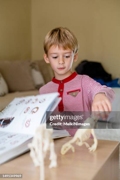 little boy playing with dinosaur skeleton - enciclopedia stock pictures, royalty-free photos & images