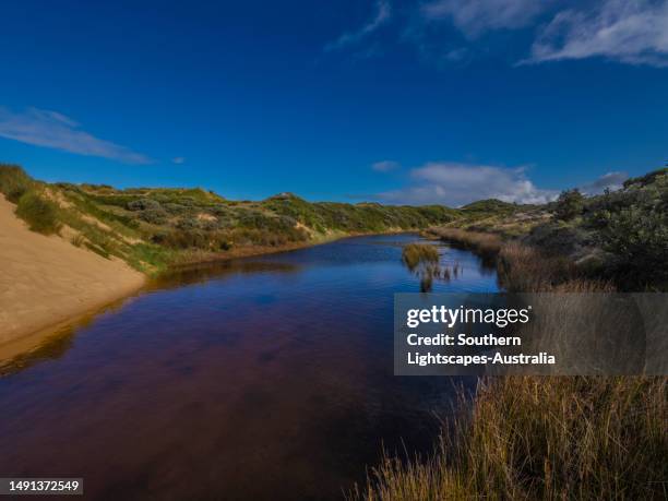 harmer's haven on the bunurong bass coastline, south gippsland, victoria, australia. - gippsland stock pictures, royalty-free photos & images