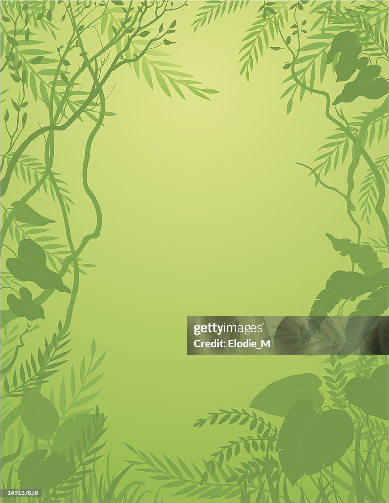 Jungle background / Rainforest