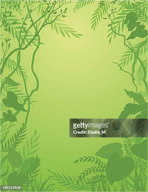 jungle background / rainforest - foliate pattern stock illustrations