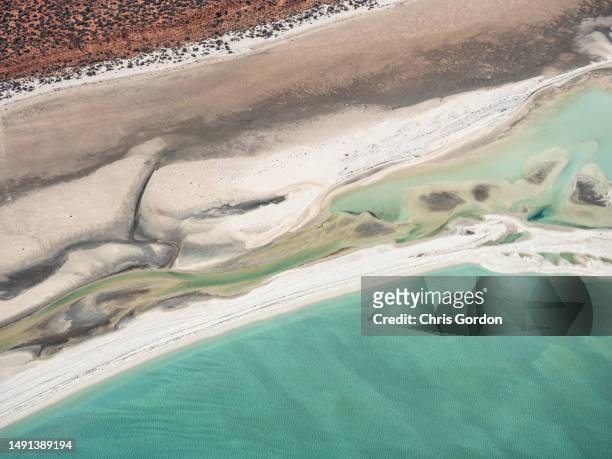 abstract aerial coastline - water whorl grass stock pictures, royalty-free photos & images
