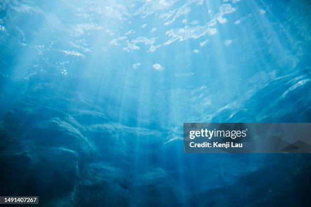 mesmerising sunrays under the surface of the ocean - macchina fotografica subacquea foto e immagini stock