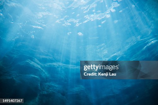 Mesmerising sunrays under the surface of the ocean Mesmerising sunrays under the surface of the ocean