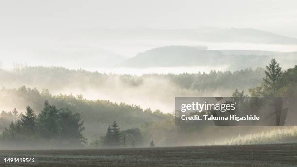 hazy morning - satoyama scenery stock-fotos und bilder