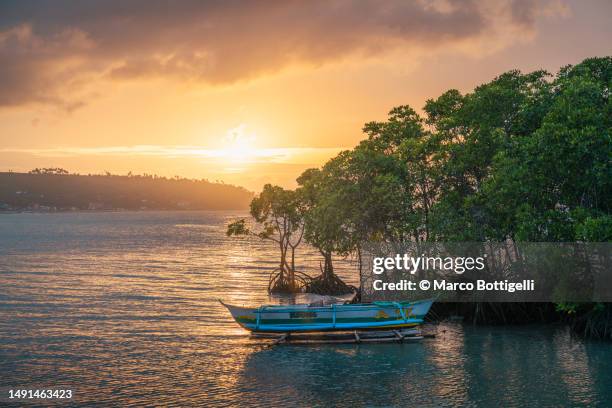 bangka in the mangroves at sunset, philippines - cebu province stock pictures, royalty-free photos & images