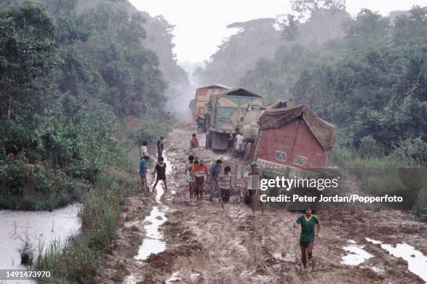 Supply trucks get stuck in mud on an unpaved road in heavy rain in the Madre de Dios region of the Amazon Basin area of Peru in South America in...