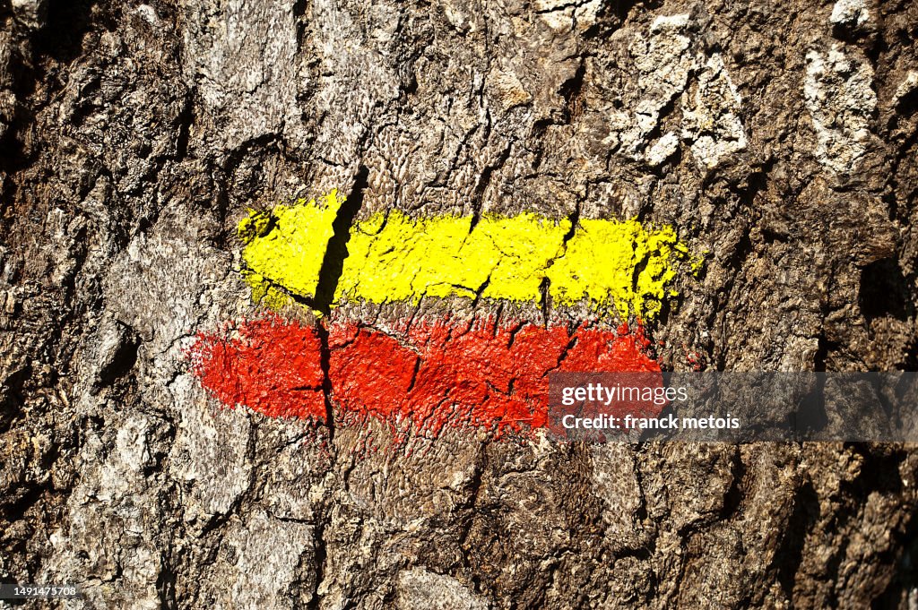 Hiking mark on a tree