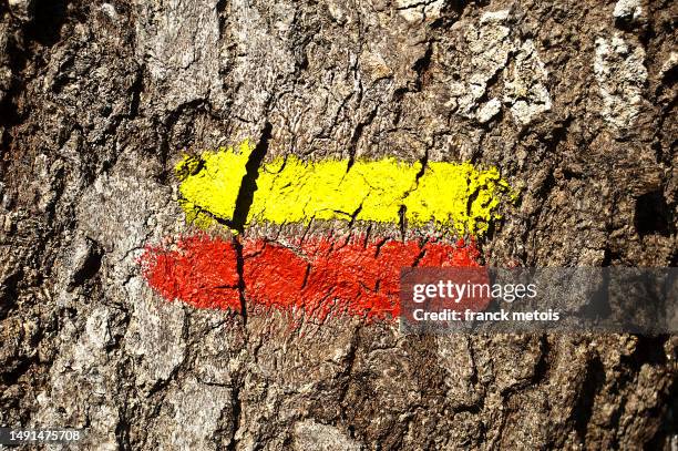 hiking mark on a tree - trail marker stock pictures, royalty-free photos & images