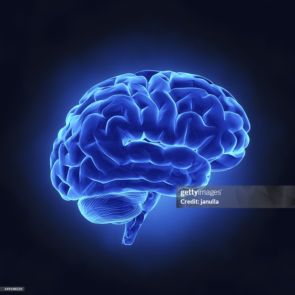Human Brain In Blue Xray View High-Res Stock Photo - Getty Images