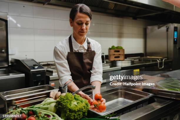 woman in restaurant kitchen washing vegetable. - cuisine chef stock pictures, royalty-free photos & images