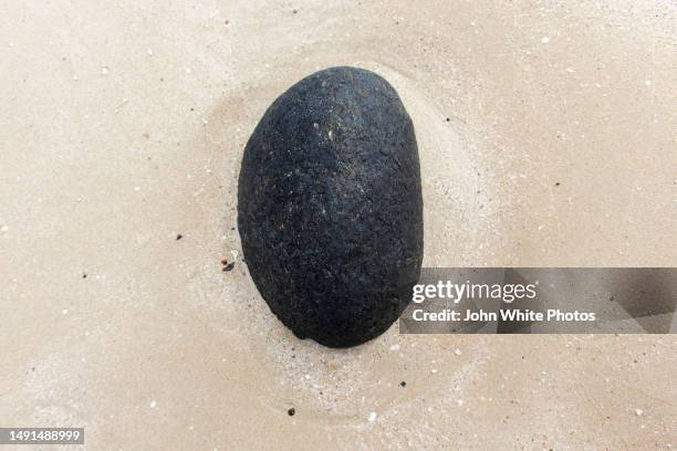 Round Sand Rocks 1,326 Round Stones Beach Stock Photos, High-Res Pictures, and Images ...