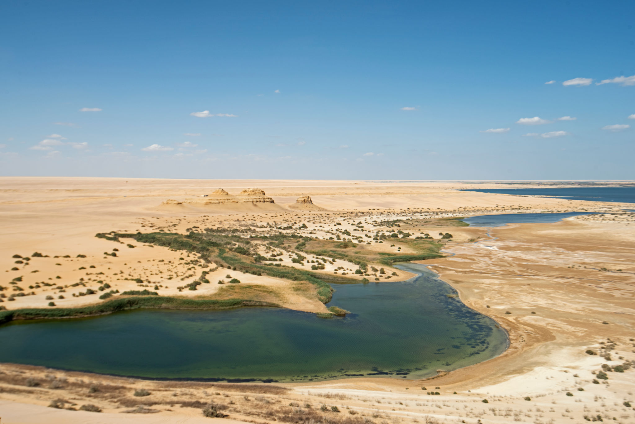 fayoum oasis