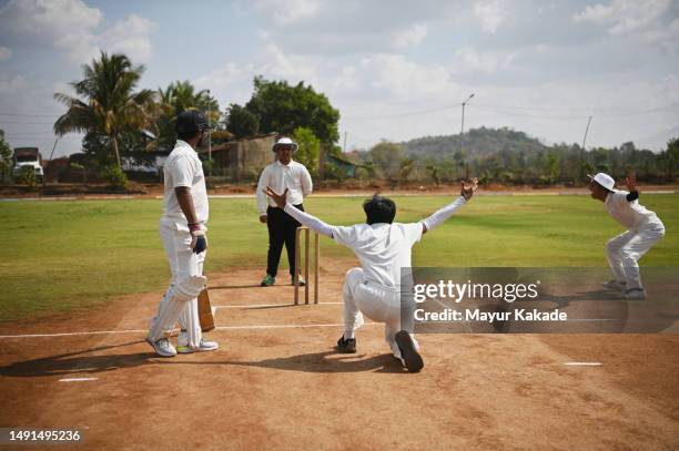 a bowler and the team appeals to umpire for the wicket during cricket match - dismissal cricket stock-fotos und bilder