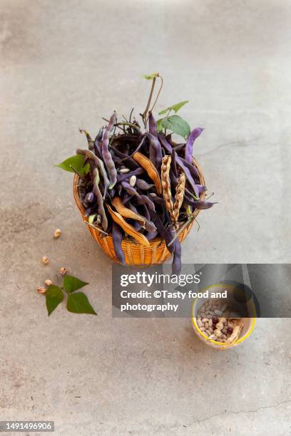 purple runner beans - runner beans stock pictures, royalty-free photos & images