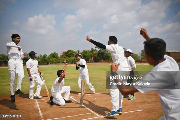 un giocatore di bocce e la squadra si appellano all'arbitro per il run out e l'arbitro dà la decisione sul run out durante una partita di cricket - mandare fuori gioco cricket foto e immagini stock