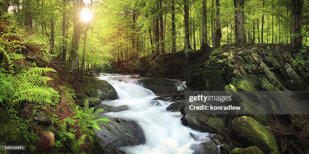 Waterfall on the Mountain Stream located in Misty Forest