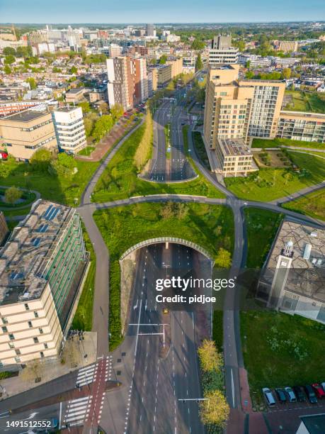 都市のグリーン統合 - south holland ストックフォトと画像