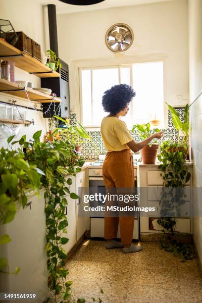 latin woman taking care of plants - flower still life stock pictures, royalty-free photos & images