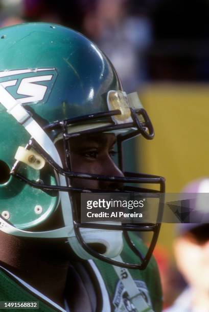 Fullback Brad Baxter of the New York Jets follows the action in the game between the Philadelphia Eagles vs the New York Jets on October 3, 1993 at...
