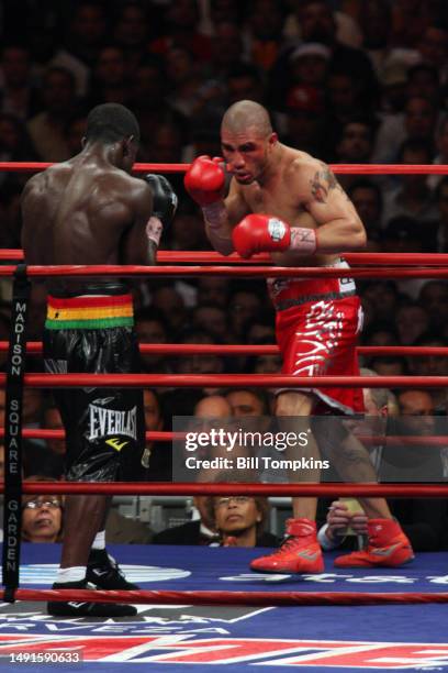 Miguel Cotto defeats Joshua Clottey by Spit Decision during their Welterweight fight at Madison Square Garden on June 13th, 2009 in New York City.