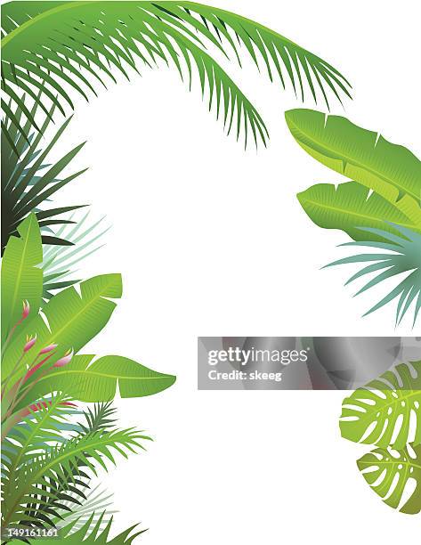 tropical border - bird of paradise stock illustrations
