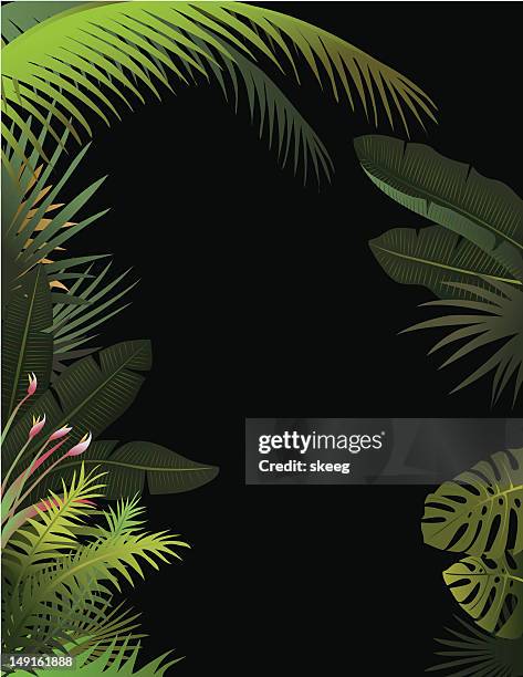 tropical border dark - amazon river stock illustrations