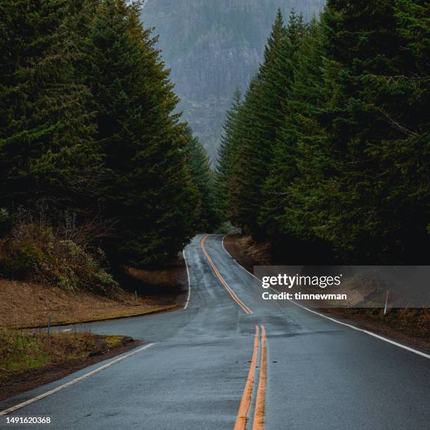 empty rainy forest road - pacific northwest stock pictures, royalty-free photos & images