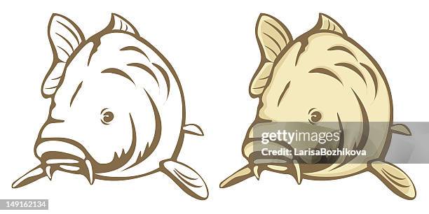 carp fish - carp stock illustrations