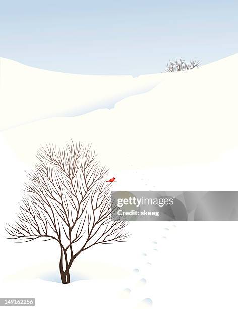 winter-szene - blue cardinal bird stock-grafiken, -clipart, -cartoons und -symbole