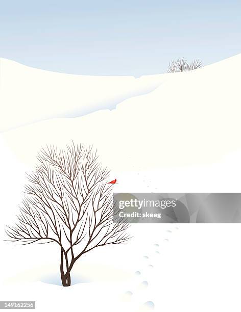 winter scene - blue cardinal bird stock illustrations