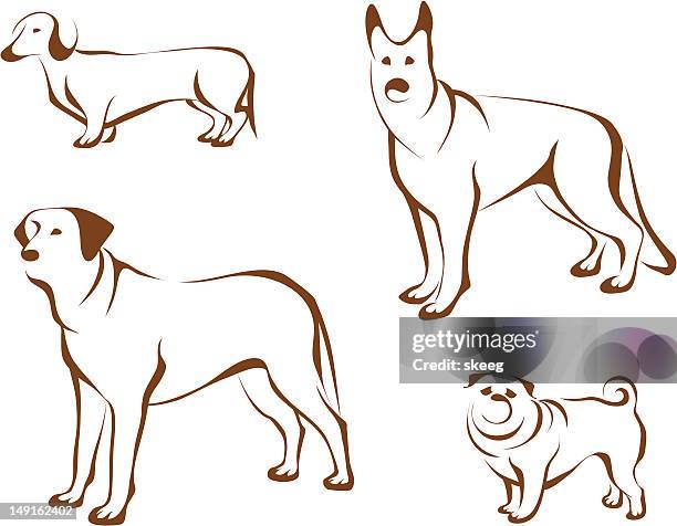 ilustraciones, imágenes clip art, dibujos animados e iconos de stock de los perros - doguillo