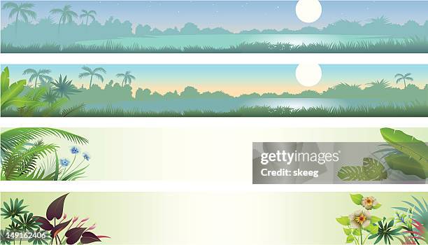 tropical banners - rainforest night stock illustrations