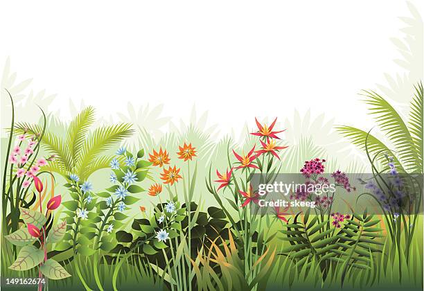 stockillustraties, clipart, cartoons en iconen met exotic garden border - bloembed