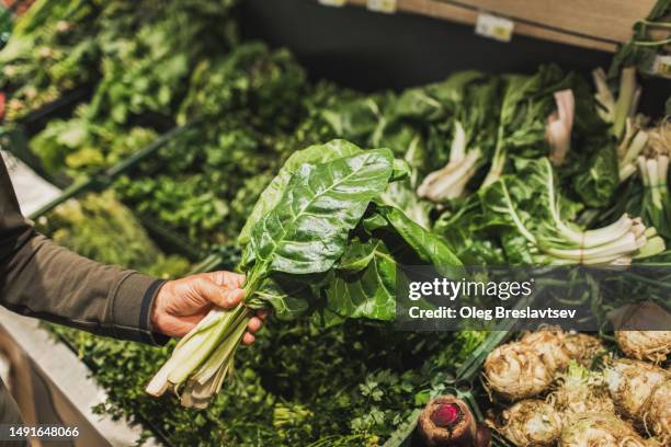 man choosing juicy greens and leaf vegetables on farm market - grönsallad bildbanksfoton och bilder