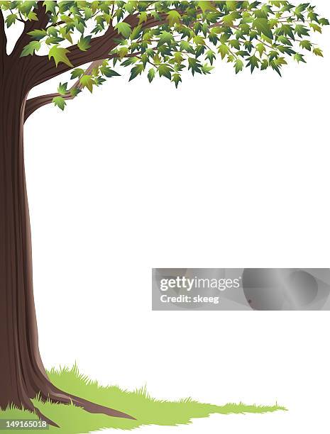 green tree frame - tree trunk stock illustrations