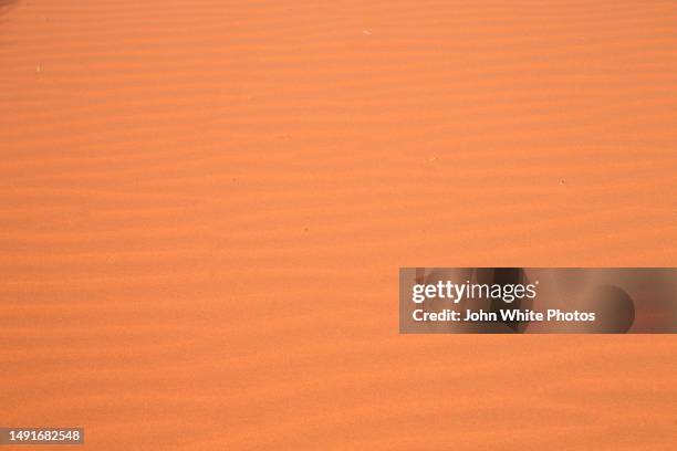 Aussie Outback Texture Outback Texture Photos and Premium High Res Pictures - Getty Images