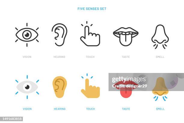 senses icon set. senses icons line and flat style vector design on white background. - basic instinct stock illustrations