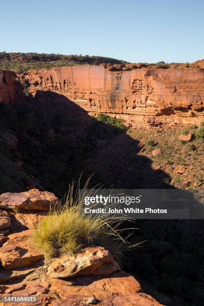 kings canyon. watarrka national park. northern territory. australia. - sandstone stock pictures, royalty-free photos & images