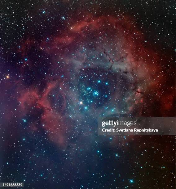 rosette nebula ngc 2237 - nebulosa bildbanksfoton och bilder