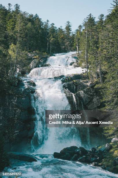 waterfall cascades down narrow gorge in forest - tapered roots stock pictures, royalty-free photos & images