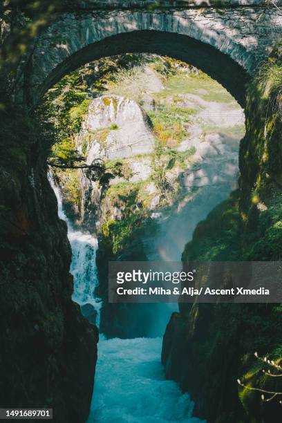 waterfall cascades down narrow gorge in forest - tapered roots stock pictures, royalty-free photos & images