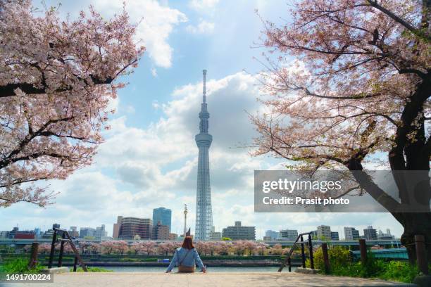 asian woman relaxing in nature under cherry blossom trees in sumida park in tokyo, japan - tokyo tower stock pictures, royalty-free photos & images