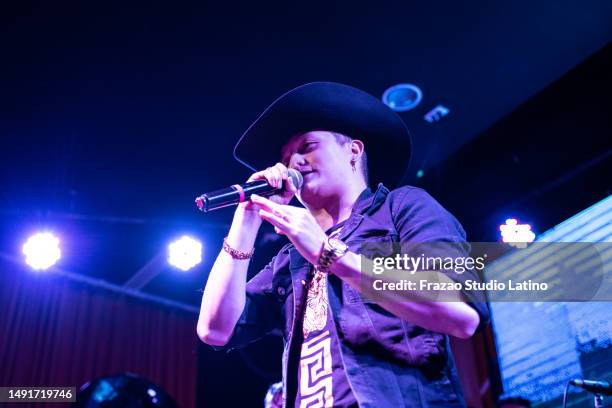 singer man singing in a music concert - country concert stock pictures, royalty-free photos & images