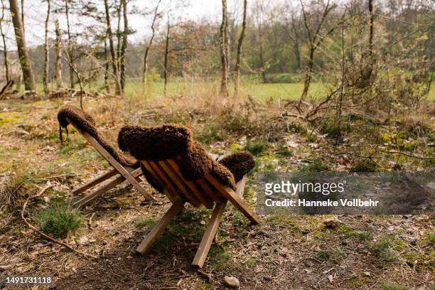two wooden chairs with sheep skin - bruiloft - fotografias e filmes do acervo