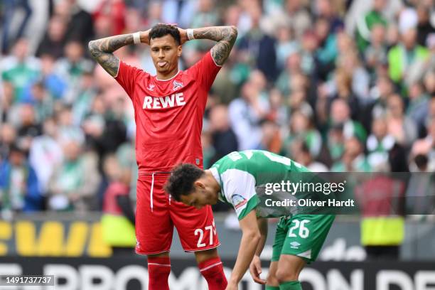 Davie Selke of 1.FC Koeln reacts during the Bundesliga match between SV Werder Bremen and 1. FC Köln at Wohninvest Weserstadion on May 20, 2023 in...