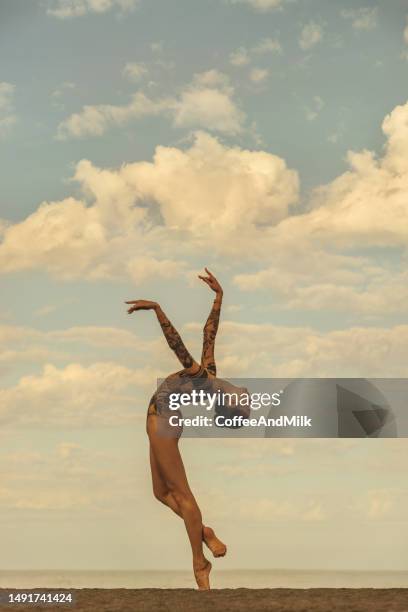 schönheit des balletts - ballett stock-fotos und bilder