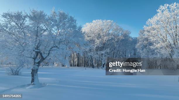 the frost of winter snows - snowfield stock pictures, royalty-free photos & images