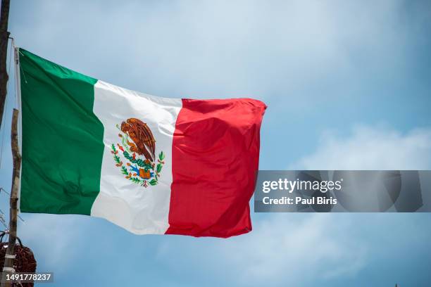 mexican flag, national banner of mexico waving against blue sky on the beach of tulum - bandera mexicana fotografías e imágenes de stock